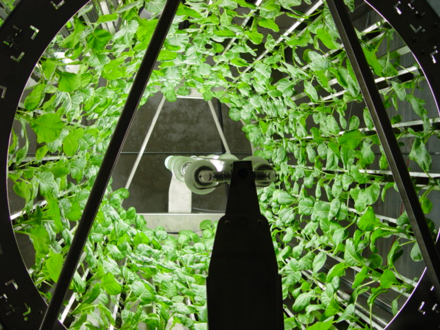 vertical growing, vertical farming, vertical hydroponics, vertical systems